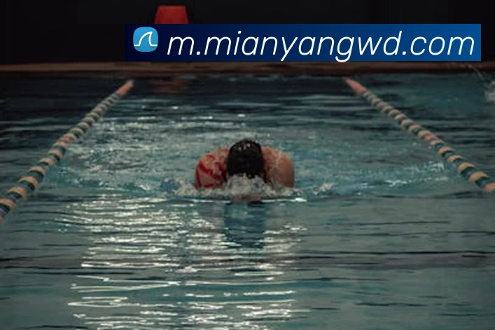 问鼎娱乐平台生态图